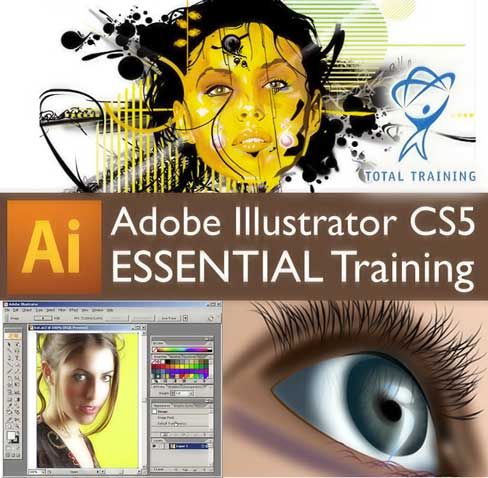 illustrator essentials total training free download